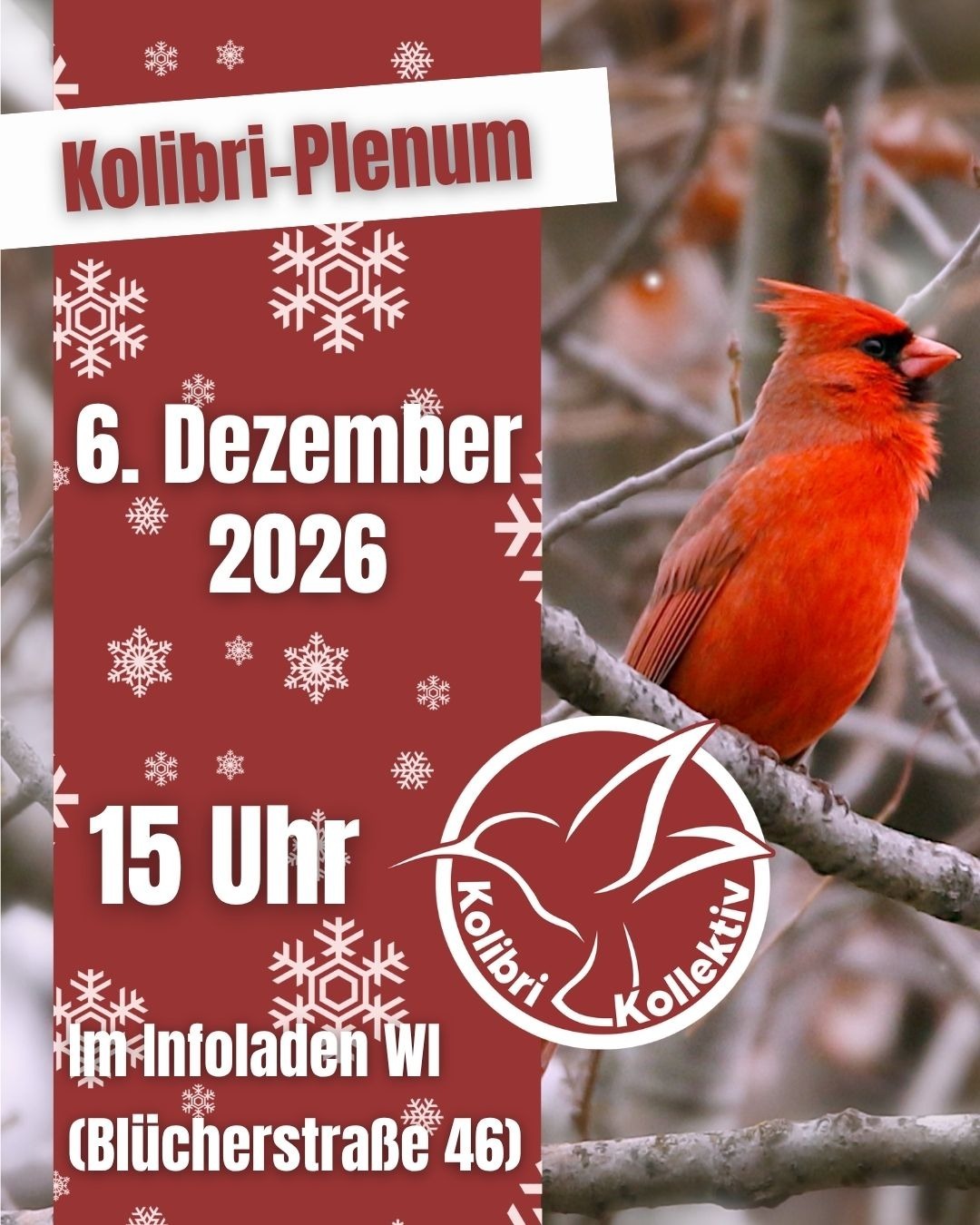 kolibri-plenum_dez-26